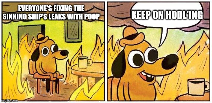 Wenn Bitcoin 100k erreicht und du immer noch HODLst