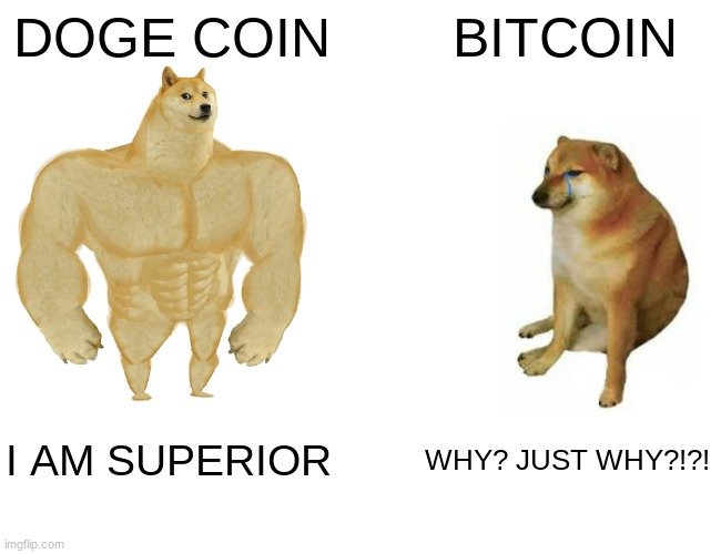 CRIPTO É ASSIM: DOGE É SUPREMO, BTC POR QUÊ?