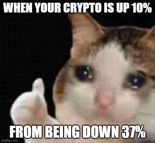 Когда крипта +10%, но ты все еще в минусе на 37% 🐱💔