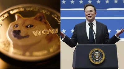 Gdy Elon Musk mówi „Lubię psy i memy” i ignoruje wszystkie kryptowaluty oprócz DOGE