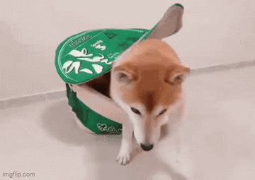 Gdy trzymasz Dogecoina przez spadek: Japoński Doge w puszce!