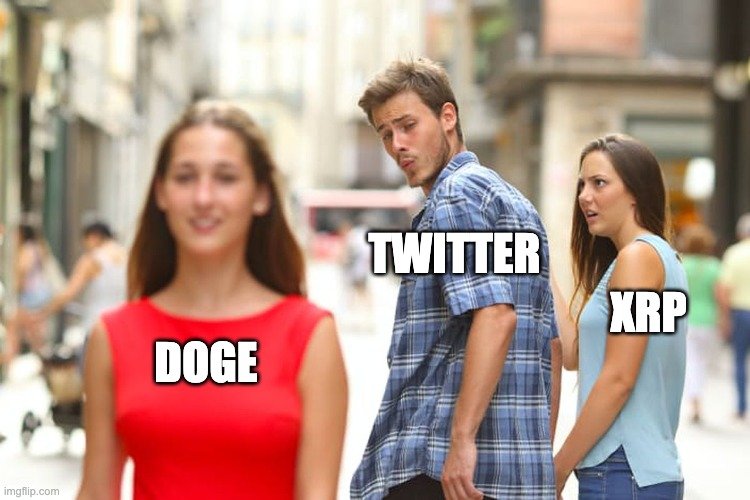 Traderzy kryptowalut patrzą na trend DOGE na Twitterze, podczas gdy ich portfele XRP nie zwracają na siebie uwagi