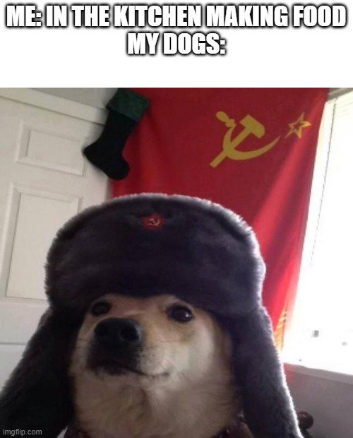 Когда кто-то говорит, что мемкоины мёртвы