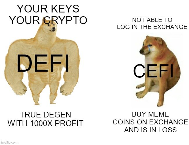 DEINE SCHLÜSSEL DEINE KRYPTO; KANNST DICH NICHT BEI DER BÖRSE EINLOGGEN; DEFI; CEFI; KAUFST MEME COINS AN DER BÖRSE UND HAST VERLUST; WAHRE DEGEN MIT 1000X GEWINN
