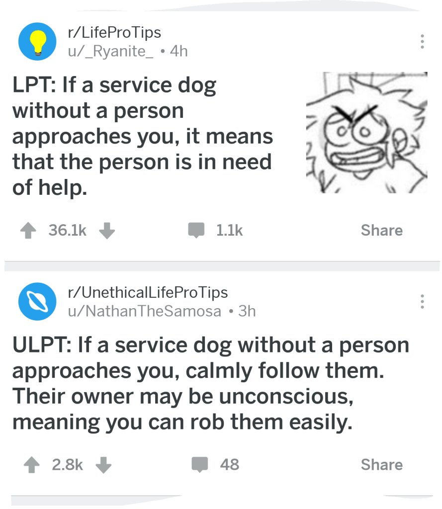 Шортил SHIB? Наслаждайся жизнью!