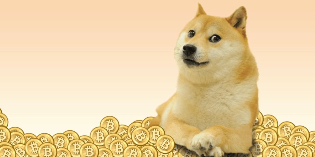 Segura, Dogecoin! Muito HODL, muito uau