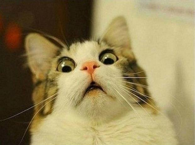 Cuando Bitcoin sube un 0,77% hoy y mis altcoins siguen en rojo