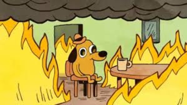 Gdy Dogecoin rośnie do $0,25 i spada, ale wszystko w porządku
