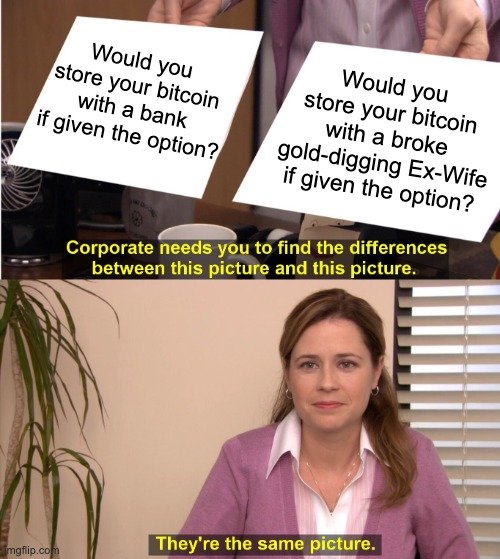 Wenn der Markt crasht, aber du bleibst standhaft und HODLst weiter!
