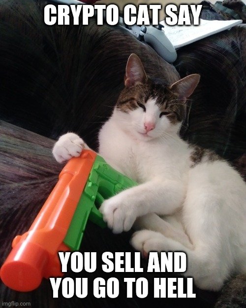 Wenn BAN heute um 31,6 % steigt und selbst deine Katze ‚HODL‘ miaut.
