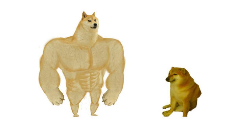 Quando o Bitcoin estava em bull run VS quando sua altcoin favorita faz dump