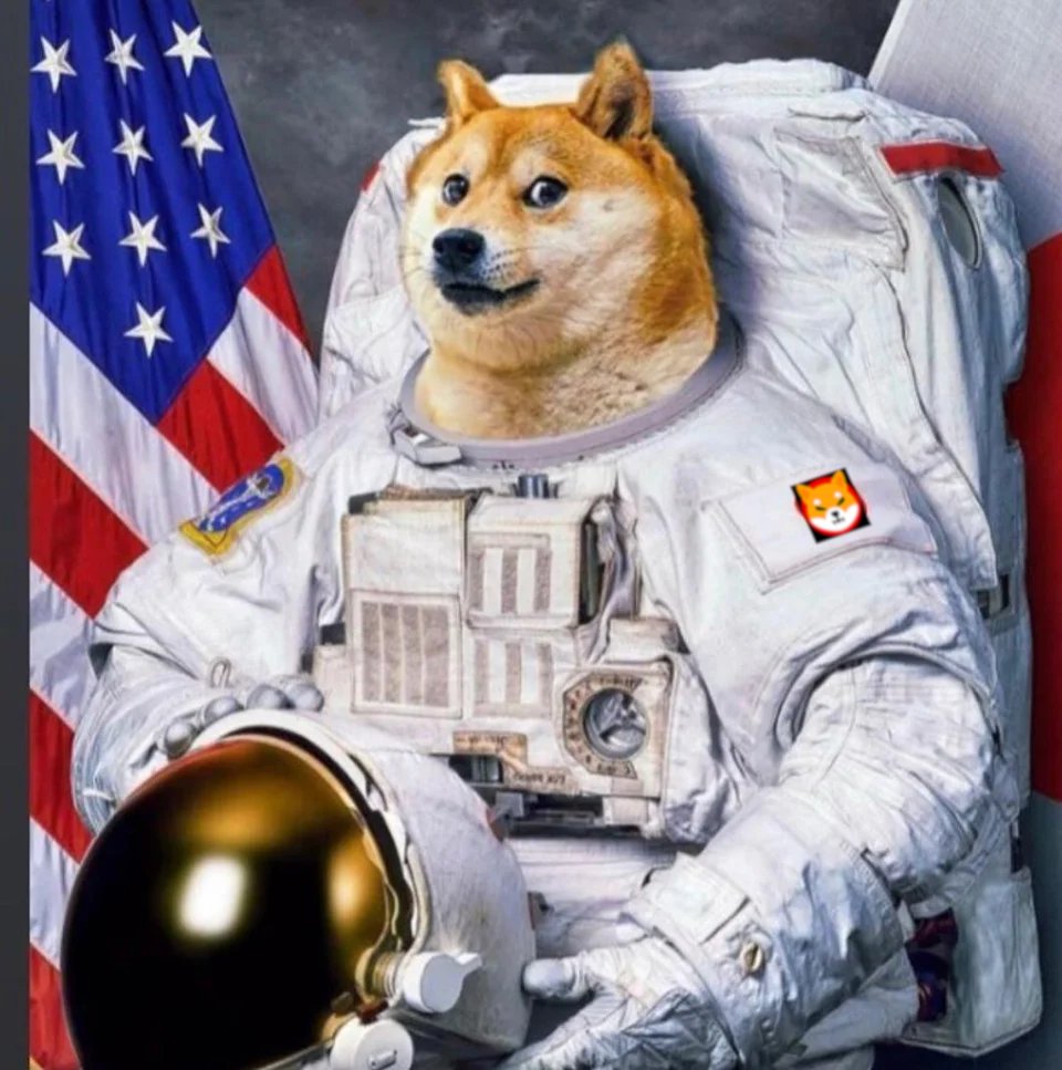Layer Brett уже вырос в 200 раз, а ты всё ещё держишь Dogecoin