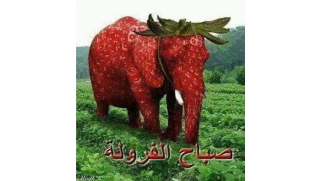 حين تستيقظ على انخفاض 15% في السوق