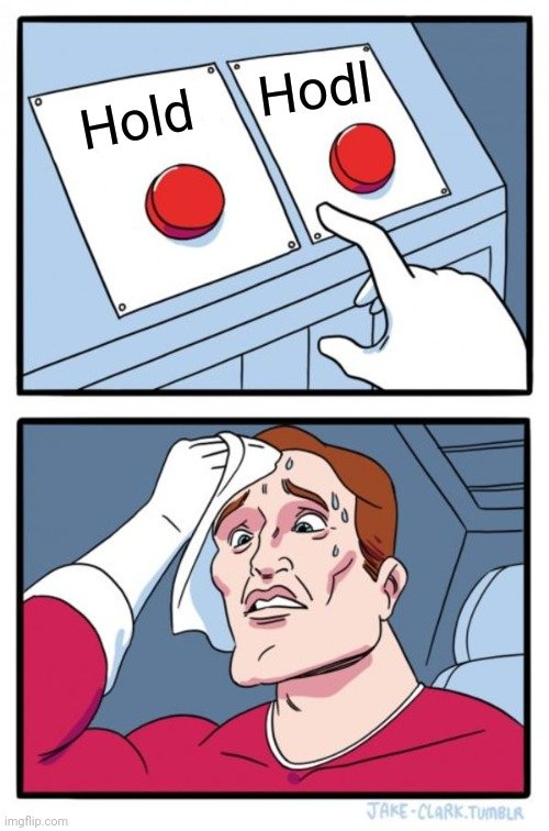 Hold/ Hodl