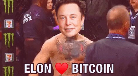 Para Basma Makinesi Brrr: Merkez bankaları boğa koşusuna karşı fiat basarken biz Bitcoin HODL’lüyoruz