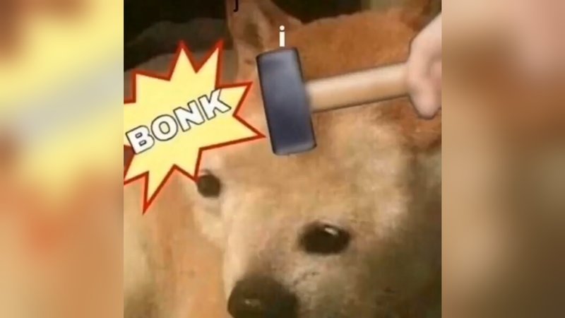 Quan el mercat cau i tu simplement el piques perquè torni a pujar 🐶🔨